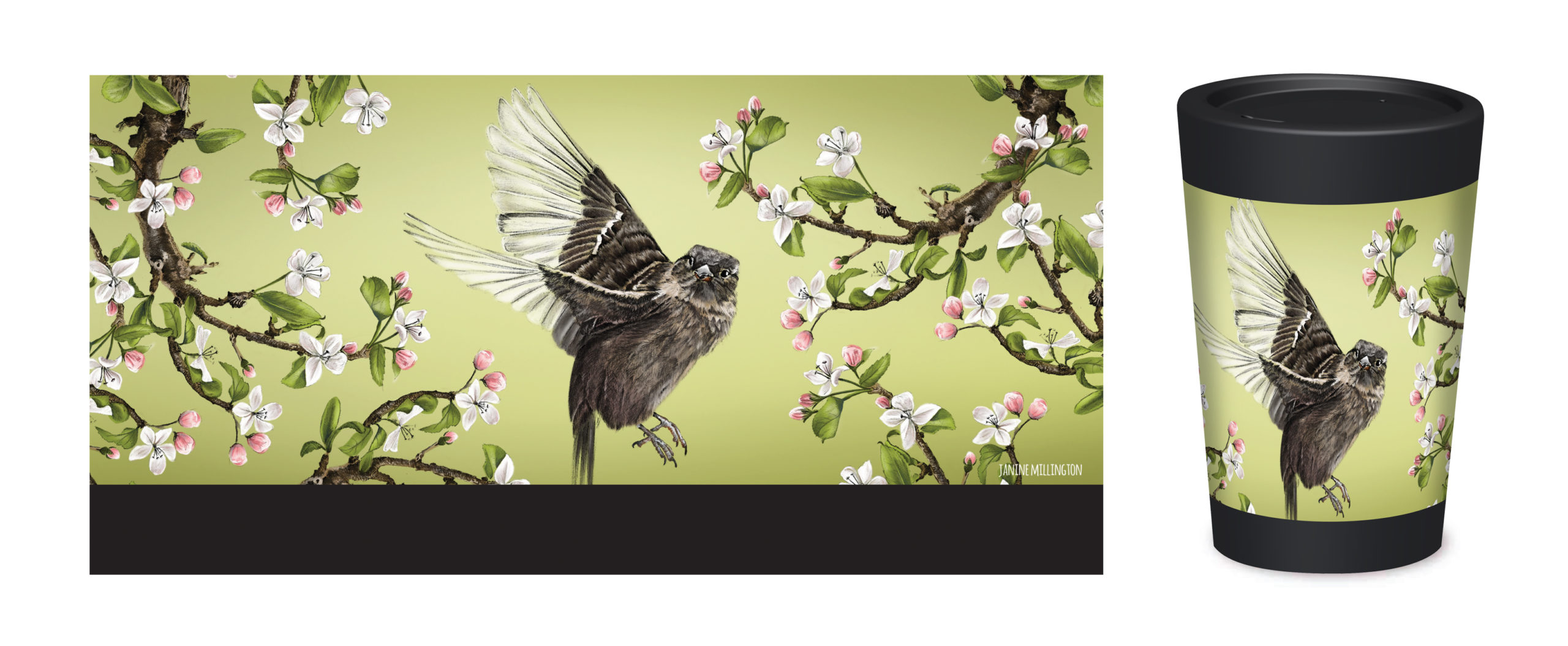 web img template